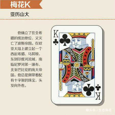 必备教程！3a王扑克牌背面认牌技巧图解,推荐9个购买渠道