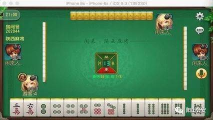 厉害了!微信打麻将开挂花钱吗-哔哩哔哩 