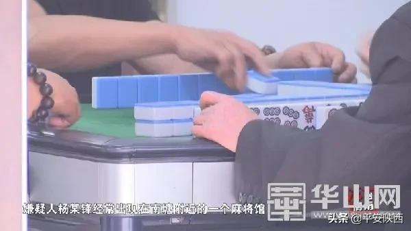 玩家必备攻略！旗圣麻将其实是有挂的(怎么容易赢)